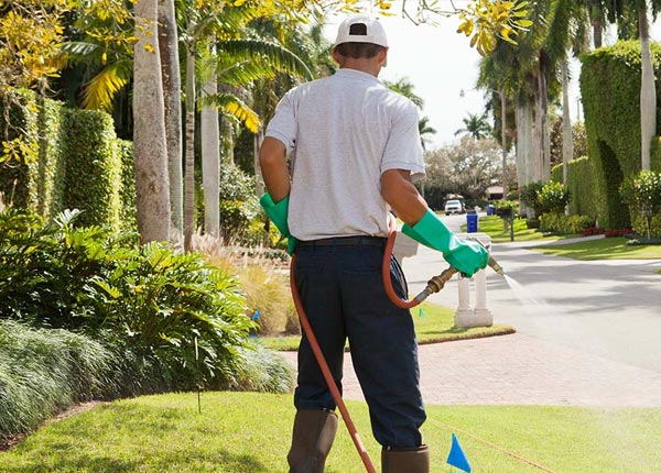 About South Orange NJ Pest Control Pros